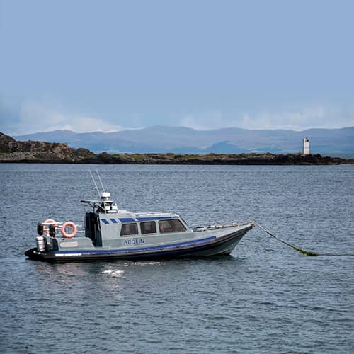 Boat trips - Ardfin Redbay RIB